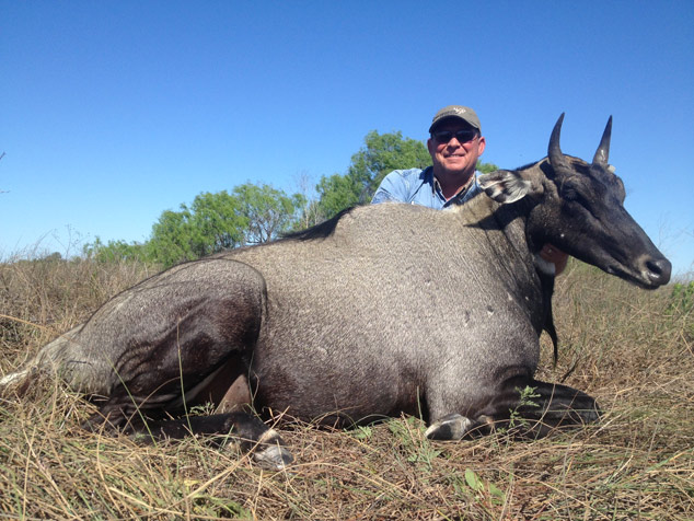 Exotic Game Hunting In Texas With Desert Safaris exotic-game-hunting-in-texas-with-desert-safaris
